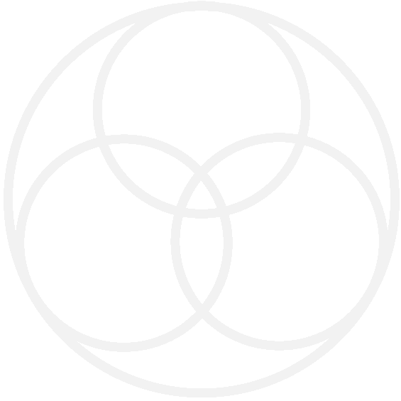 デイリーアクション